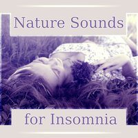 Sweet Music - Restful Sleep Music Consort