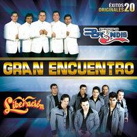 Por Qué Me Enamoré - Grupo Bryndis