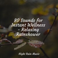 Rain, Nature, Medium, Light Wind - Nature & Sounds Backgrounds & A Sudden Rainstorm & Sonido de lluvia