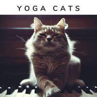 Cat's Eye Meditation - Piano for cats
