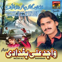 Bewafa Di Bajh Meri - Wajid Ali Baghdadi