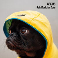 Rain Bowl Therapy - Dog Music & Sleeping Music For Dogs & Cat Music