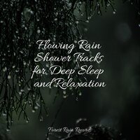 Medium Campfire - Oasis of Meditation & Natural Rain Sounds for Sleeping & Ambient Rain