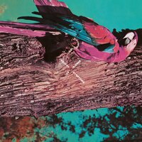 Discopick - Kasper Bjørke