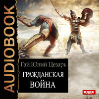 Гражданская война. Часть 4 - Шабров Дмитрий