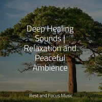Lounging by the Pool - Avslappning Sound & Baby Sweet Dream & Entspannungsmusik Meer