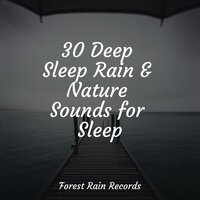 Forest Sounds (Birds) - Massage Therapy Music & Sleep Music System & A Sudden Rainstorm