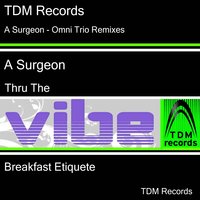 Thru the Vibe - A Surgeon & Omni Trio