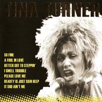 Beauty Is Just Skin Deep - Tina Turner