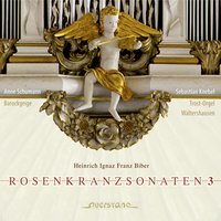 Sonate No. 14 for Violin and Continuous Bass "Jesus, der dich, o Jungfrau, in den Himmel aufgenommen hat": III. Gigue - Anne Schumann & Генрих Игнац Франц фон Бибер