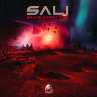 Malfunction - Sali