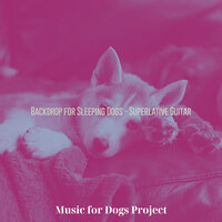 Trio Jazz Soundtrack for Separation Anxiety - Music for Dogs Project