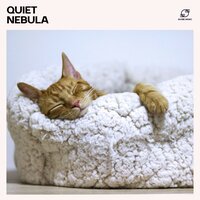 Tranquil Skies - Sleep Music Zone & The Deep Sleep Music Academy & Restful Sleep Music Collection & Relax Sleep Music