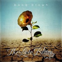 Pillow - Boog Brown