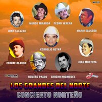 Piensa Morena - MUNDO MIRANDA