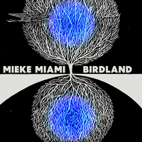 7 Miles to Jordan - Mieke Miami