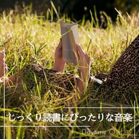 Music for Book Lovers - Daytime Owl