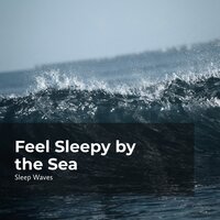 Drowsy in the Coast - Ocean Waves for Sleep & Sleep Waves & Ocean Waves