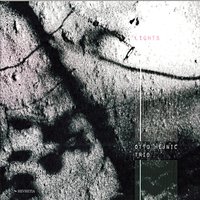 Dung Beetle - Otto Hejnic Trio & Otto Hejnic