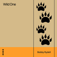We Got Love - Bobby Rydell