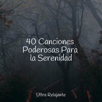 Suave Como La Seda - Mantra para Dormir & Musica Relajante Specialistas & Musica Relajante & Natureza Musica Bem-Estar Academia