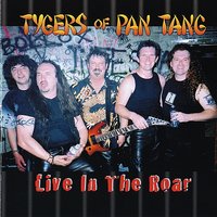 Deja-Vu - Tygers Of Pan Tang