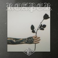 Hopes Up - nothing,nowhere. & Dashboard Confessional