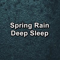 A Never Ending Rain Spell - Rain Sound Studio & Relaxing Rain Sounds & Thunderstorm Sleep