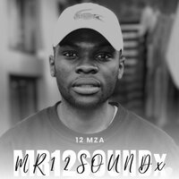 Mr Soundx - 12 Mza & Ginger & Flesh Master