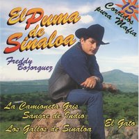 El Ceja Guera - El Puma De Sinalóa