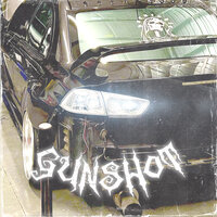 GUNSHOT - STAYSON