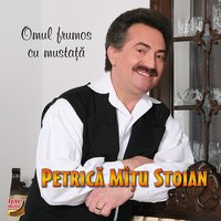 Aștept să răsară luna - Petrică Mîțu Stoian