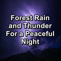 Medium Rain and Thunder for Brain Relaxation and Mindfulness in the Evening - Rain Shower Spa & Lightning, Thunder and Rain Storm & Rain Meditation
