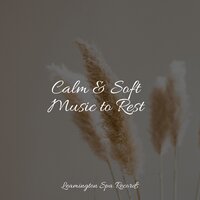 Drift Away into Dreams - Meditação Yoga & Sounds Of Nature : Thunderstorm, Rain & Water Spa
