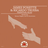 Perpetual Bliss - James Ponette & Ricardo Trueba