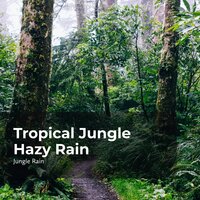 Rain Falls in the Jungle - Nature and Rain & Deep Rain Sampling & Jungle Rain