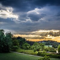 Peaceful Flora - Nature Sound Collection & Relaxing music & Rest & Relax Nature Sounds Artists