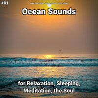 Ocean Sounds Pt. 76 - Sea Waves Sounds & Nature Sounds & Ocean Sounds