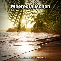 Wunderschöne Erscheinung - Meeresrauschen für den Urlaub zwischendurch & Naturgeräusche & Meeresrauschen