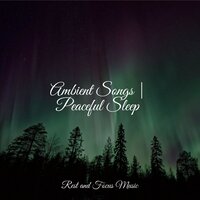 Inner Artist - Serenity Spa Music Relaxation & Sleep Songs 101 & Ambient Forest