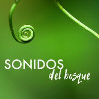 Sonidos Naturales - Sonidos de la Naturaleza Star
