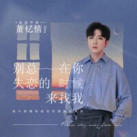 别总在你失恋的时候来找我 - 萧忆情