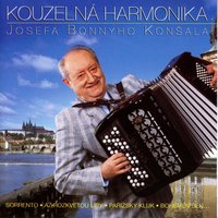 Má Krásná Neapol - Josef Bonny Konšal