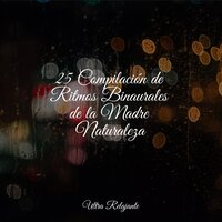 Arboles De La Selva - Meditação Maestro & Canciones de Cuna para Bebés Acadèmico & Canciones Para Niños