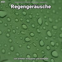 Regengeräusche, pt. 41 - Regengeräusche in hoher Qualität & Naturgeräusche & Regengeräusche