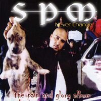 Mexican Radio - SPM