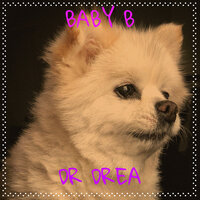 Burgandy - Dr Drea