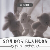 Nadando con Delfines - Bebe Llorón