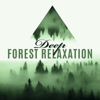 Natural Comfort - Nature Collection