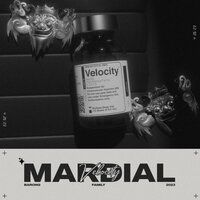 Velocity - Mardial